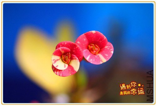 ��Ƭ 077_����.jpg