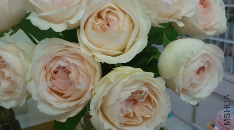 ��������`���� 1.jpg