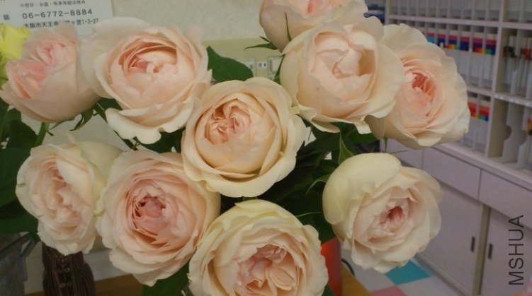 ��������`���� 2.jpg