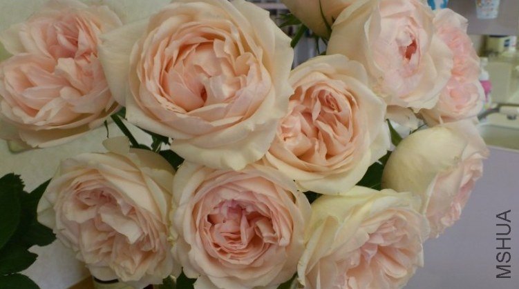 ��������`���� 3.jpg