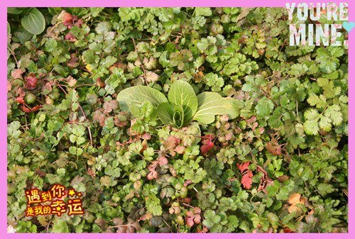 ��Ƭ 078_����.jpg