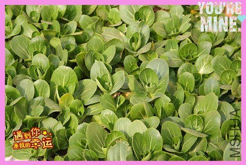 ��Ƭ 073_����.jpg