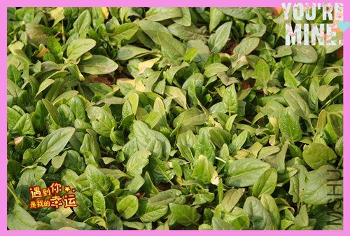 ��Ƭ 075_����.jpg