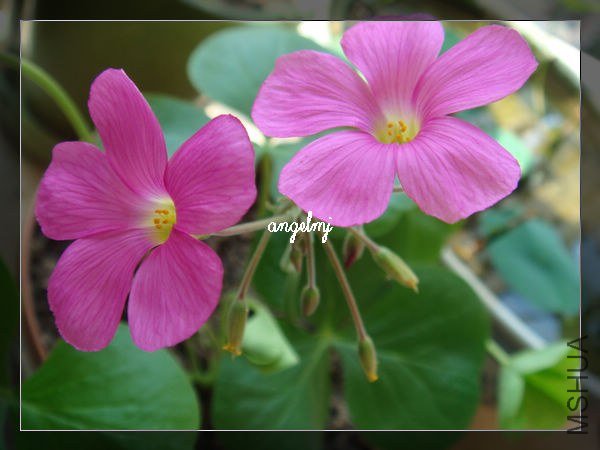 ���������2012-9-27.jpg