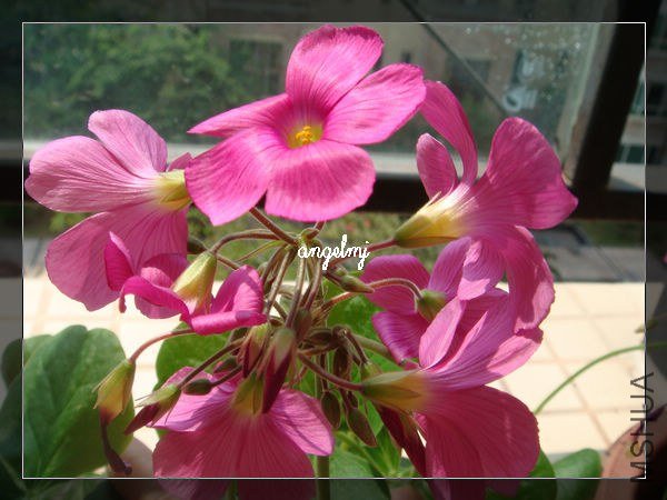 �����Ⱥ��2012-10-10.jpg