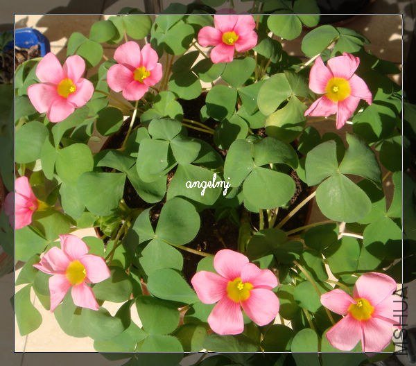 ��ܽ���ڻ�2013-1-10.jpg