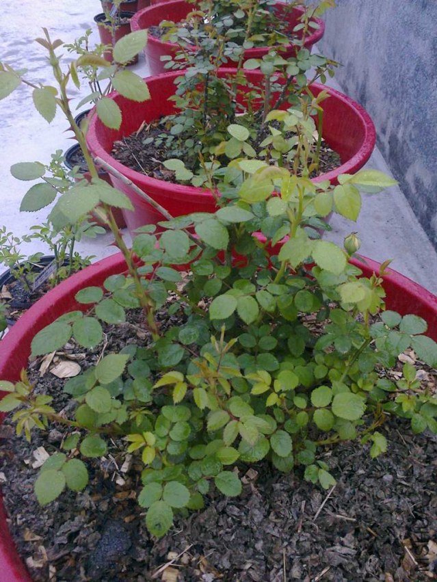 ��Ƭ0869.jpg