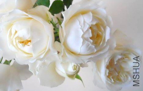 ����٥ե�󥽥� 7_3.jpg