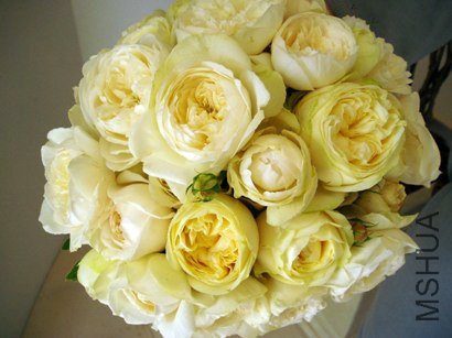 ����٥ե�󥽥� 17502750.jpg