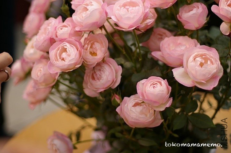 ���ȥ��٥�`�ޥ����� (6).jpg