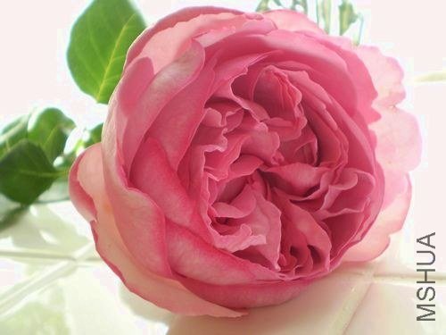 �Х� �����ѩ`��_0.jpg