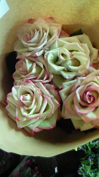 �Х� ����`����.jpg