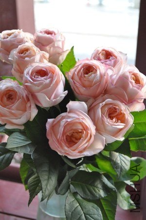 �Х� ���󥸥���`�����ޥ����.jpg