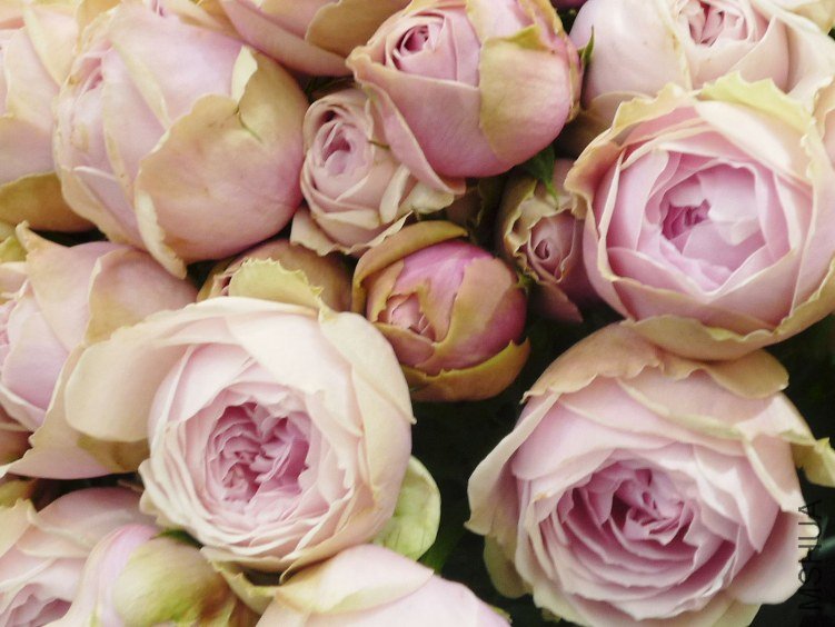 �Х� ������Ʃ`�����`���.jpg