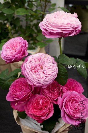 �Х� �椦����1.jpg