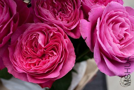 �Х� �椦����2.jpg