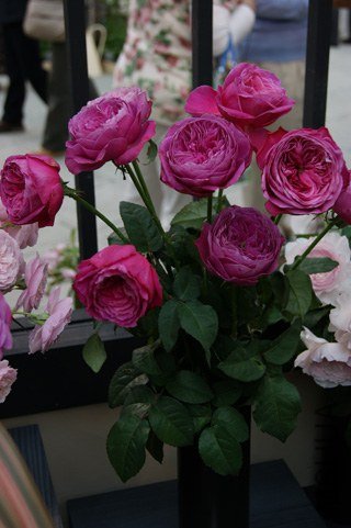 �Х� �椦����.jpg