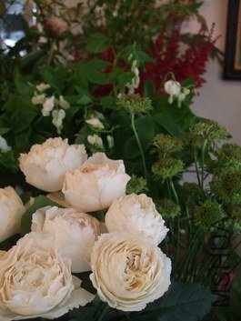 �Х� ���������.jpg