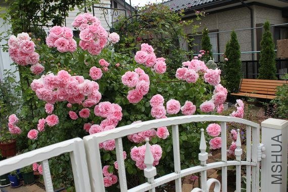 �Х� �۩`�ࣦ���`�ǥ�0.jpg