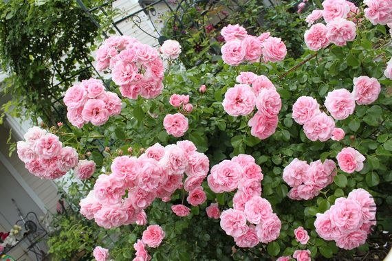 �Х� �۩`�ࣦ���`�ǥ�52cee.jpg