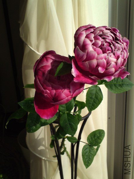 �Х� �ޥ�`���`����.jpg