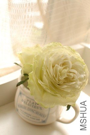 �Х� ���`�ȥ�����`��.jpg