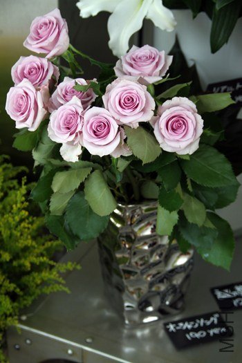 �Х� ���`����󥽥�1.jpg