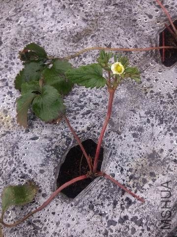 ������С IMG_20130131_141440.jpg