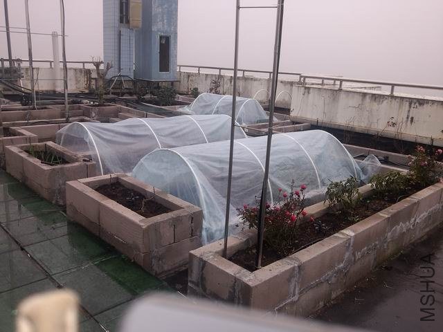 ������С IMG_20130131_141117_1.jpg