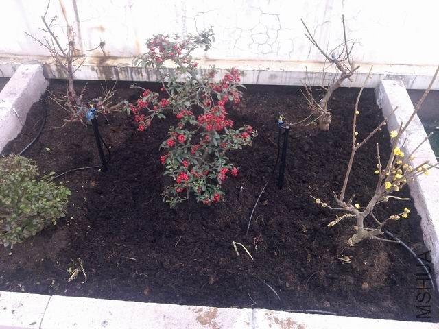 ������С IMG_20130131_141243.jpg