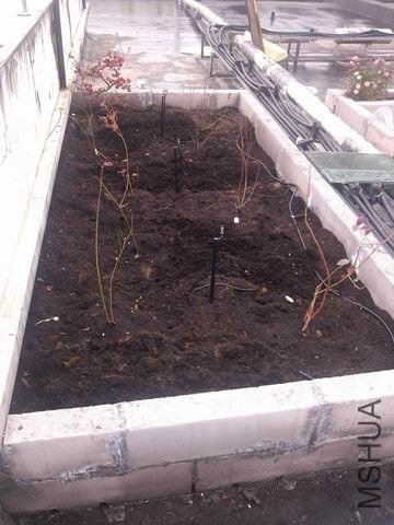 ������С IMG_20130131_141255.jpg