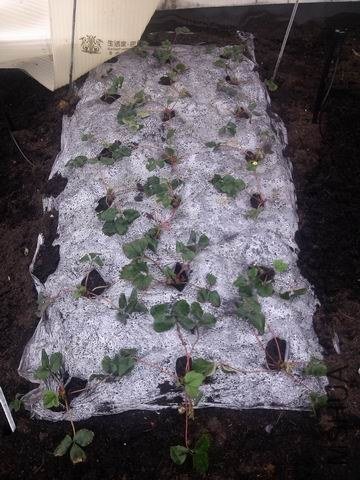 ������С IMG_20130131_141430.jpg