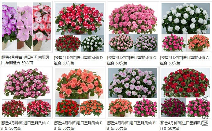 Snap1-3.jpg