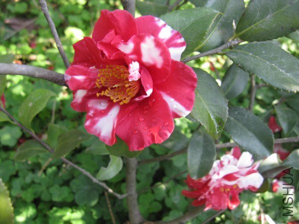 IMG_9816.jpg