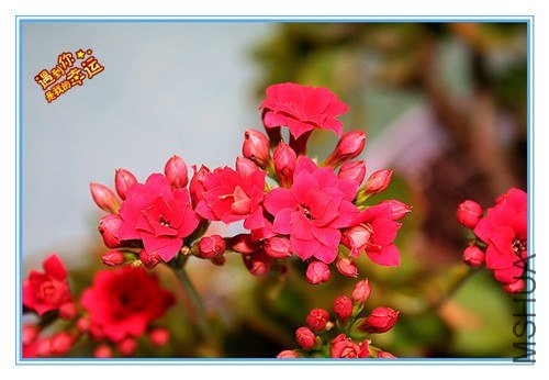 ��Ƭ 050_����.jpg