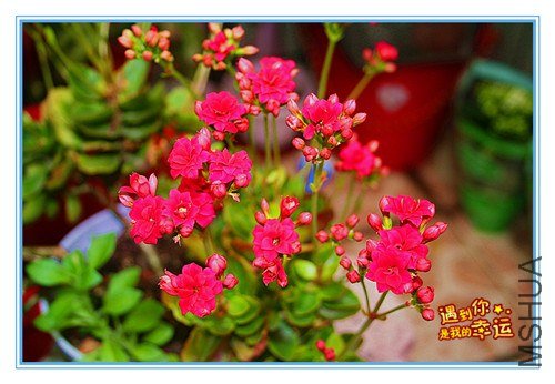 ��Ƭ 042_����.jpg