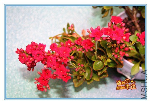 ��Ƭ 044_����.jpg