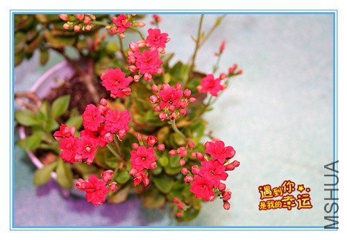 ��Ƭ 046_����.jpg