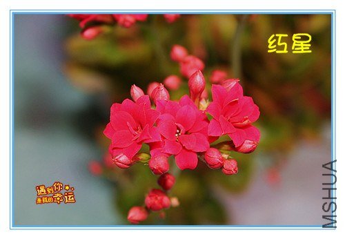 ��Ƭ 049_����.jpg