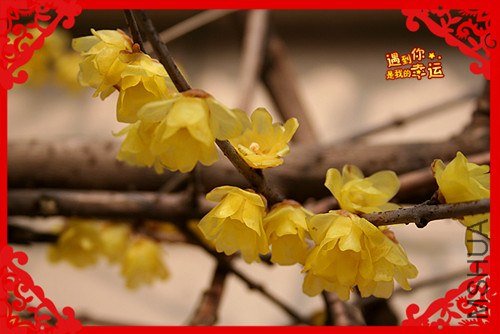 ��Ƭ 071_����.jpg