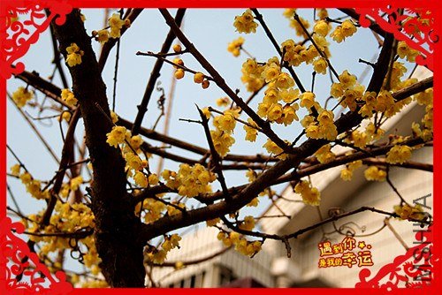 ��Ƭ 061_����.jpg