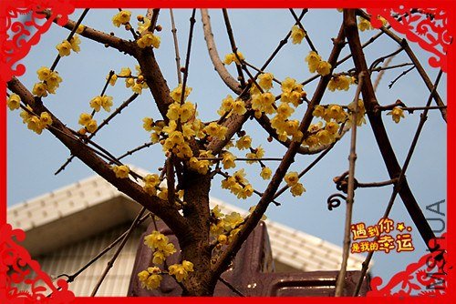 ��Ƭ 063_����.jpg