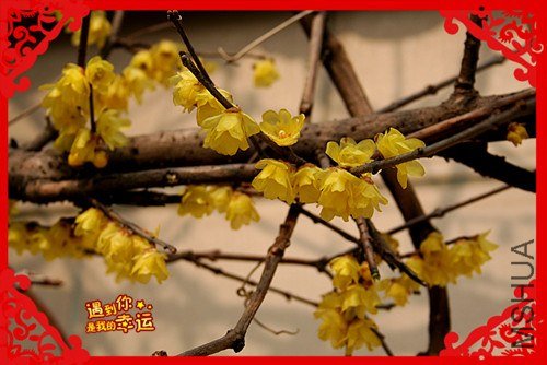 ��Ƭ 066_����.jpg