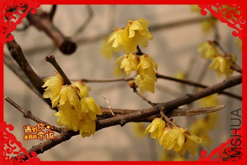 ��Ƭ 069_����.jpg