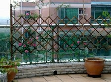 20110424090.jpg