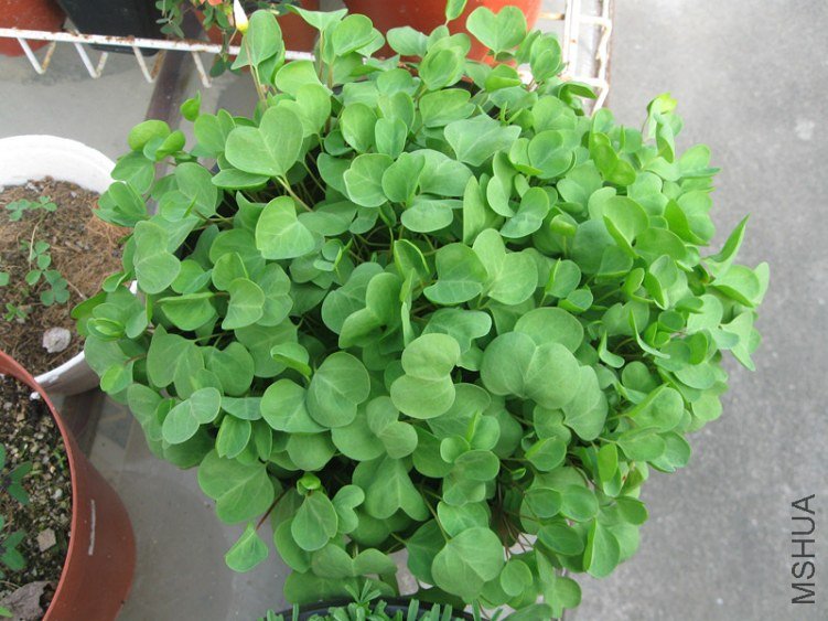 һƬ�� (2)_����.jpg