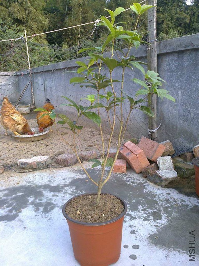 ��Ƭ0889.jpg