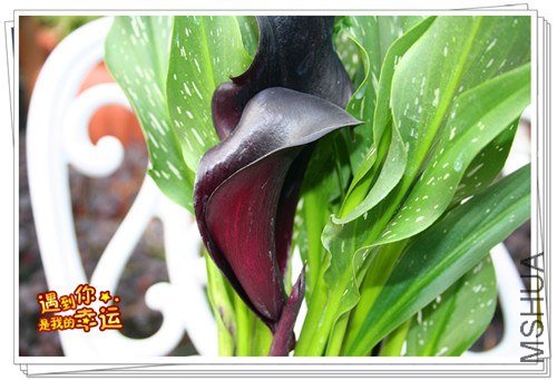 ��Ƭ 063_����.jpg