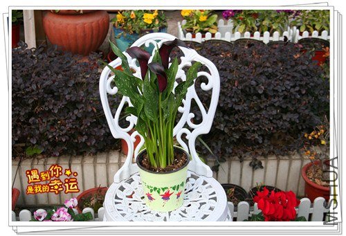 ��Ƭ 056_����.jpg