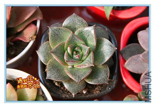 ��Ƭ 083_����.jpg